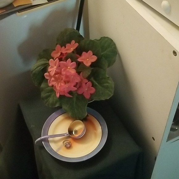 Japanese dish with spoon - Picture 2 of 3